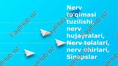 nerv uchlari va sinapslari — PPTX