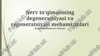 nerv toʻqimasining degeneratsiyasi va regeneratsiyasi mehamizmlari — PPTX