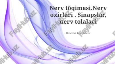 nerv tõqimasi.nerv oxirlari. sinapslar, nerv tolalari — PPTX
