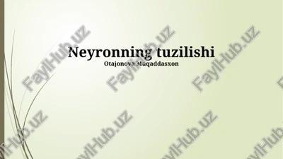 neyronning tuzilishi — PPTX