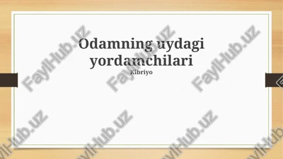 uy yordamchilari — PPTX