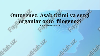 ontogenez. asab tizimi va sezgi organlar onto filogenezi — PPTX