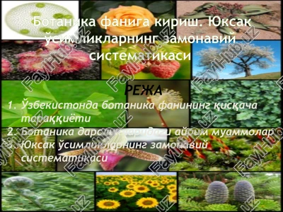 botanika faniga kirish. yuksak o'simliklarning zamonaviy sistematikasi — PPTX