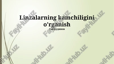 linzalarning kamchiligini o'rganish — PPTX