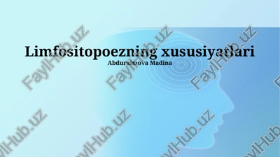 limfositopoezning xususiyatlari — PPTX
