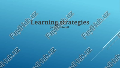 learning strategies — PPTX