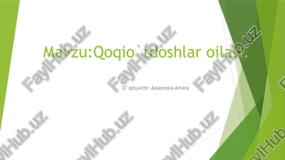 qoqio`tdoshlaroilasi — PPTX