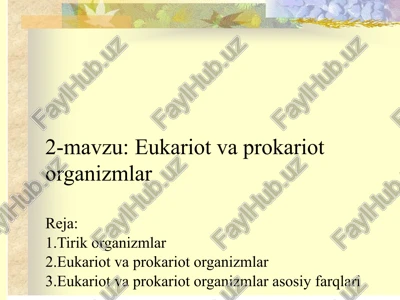 eukariot va prokariot organizmlar — PPTX