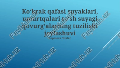 koʻkrak qafasi suyaklari, umurtqalari toʻsh suyagi qovurgʻalarning tuzilishi joylashuvi — PPTX
