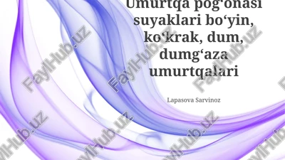 umurtqa pogʻonasi suyaklari boʻyin, koʻkrak, dum, dumgʻaza umurtqalari — PPTX