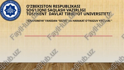 sezuv va harakat o’tkazuv yo’llari — PPTX