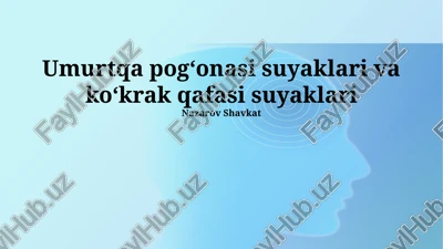 umurtqa pogʻonasi suyaklari va koʻkrak qafasi suyaklari — PPTX