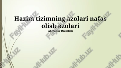 hazim tizimi va nafas olish tizimi — PPTX