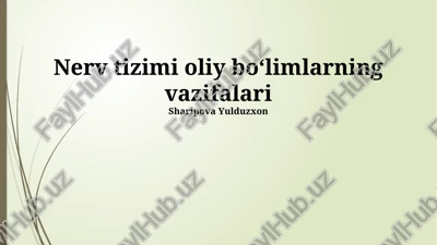 nerv tizimi oliy boʻlimlarning vazifalari — PPTX