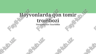 hayvonlarda qon tomir trombozi — PPTX