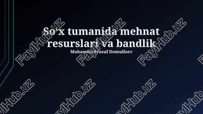 soh tumanida mehnat resurslari va bandlik — PPTX