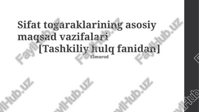 chiziqli dasturlash — PPTX
