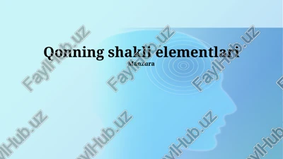 qonning shakli elementlari — PPTX