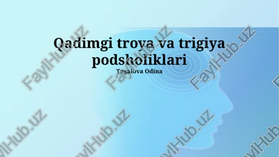qadimgi troya va trigiya podsholiklari — PPTX