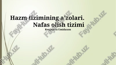 nafas olish tizimi — PPTX