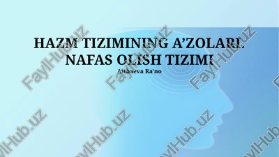 hazm tizimining a’zolari. nafas olish tizimi — PPTX