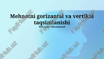 mehnatni gorizantal va vertikal taqsimlanishi — PPTX