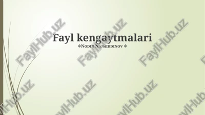 fayl kengaytmalari — PPTX