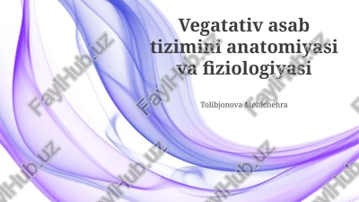vegatativ asab tizimini anatomiyasi va fiziologiyasi — PPTX