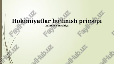 hokimiyatlar boʻlinish prinsipi — PPTX