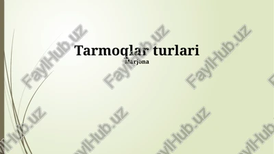tarmoqlar turlari — PPTX