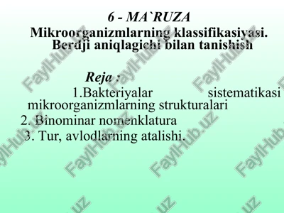 berdjiani klassifikatsiyasi — PPT