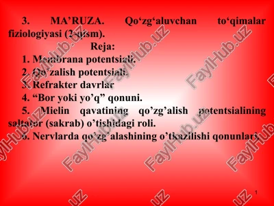 ma’ruza. qo‘zg‘aluvchan to‘qimalar fiziologiyasi (2-qism) — PPT