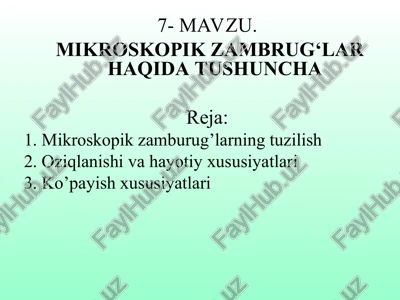mikroskopik zamburug’lar — PPT