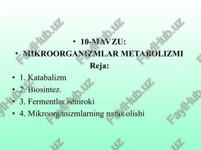 mikroorganizmlar metabolizmi — PPT