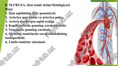 ma’ruza.qontomirtizimifiziologiyasi — PPTX