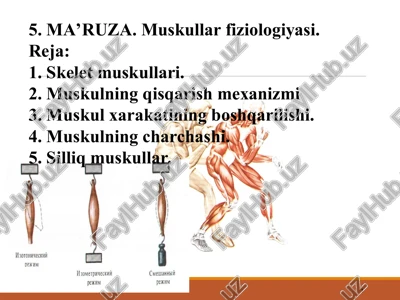 ma'ruza: muskullar fiziologiyasi — PPT