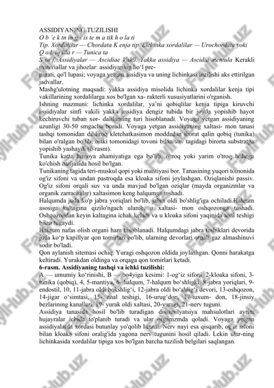assidiyaning tuzilishi — DOCX
