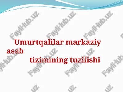 umurtqalilar markaziy asab tizimining tuzilishi — PPTX