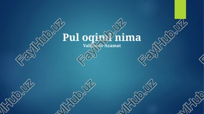 pul oqimi nima — PPTX