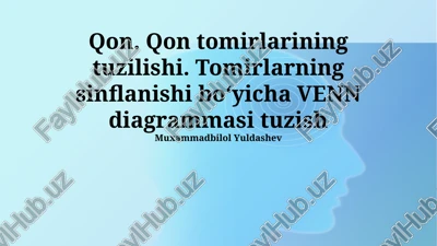 qon tomirlarining tuzilishi va sinflanishi boʻyicha venn diagrammasi tuz — PPTX