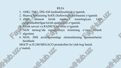access media gateway (amg) — PPTX