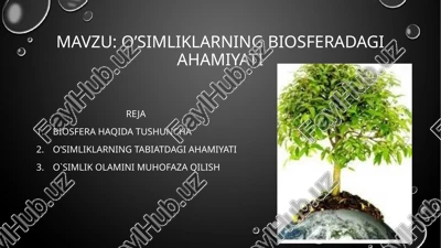 o'simliklarning biosferadagi ahamiyati — PPTX