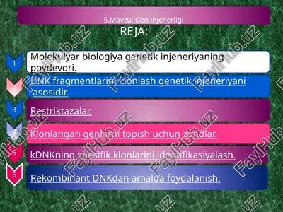 geninjenerligi — PPTX