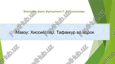 xissiyotlar. tafakkur va idrok — PPTX