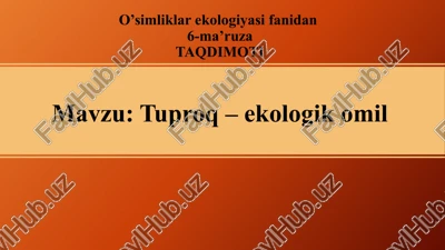 o’simliklar ekologiyasidan 6-ma’ruza taqdimoti — PPTX