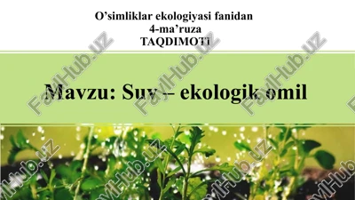 o’simliklar ekologiyasi — PPTX