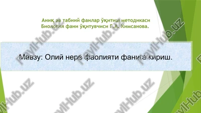 oliy nerv faoliyati faniga kirish.aniq va tabiiy fanlar o'qitishmetodikasi — PPTX