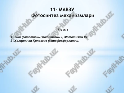fotosintez mexanizmlari — PPTX