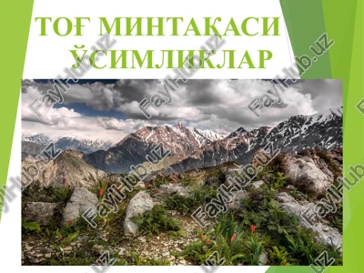tog' mintaqasi o'simliklar — PPT