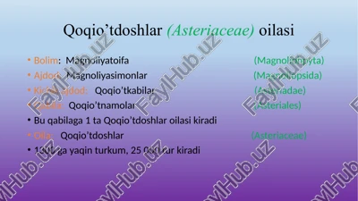 qoqio’tdoshlar(asteriaceae)oilasi — PPTX
